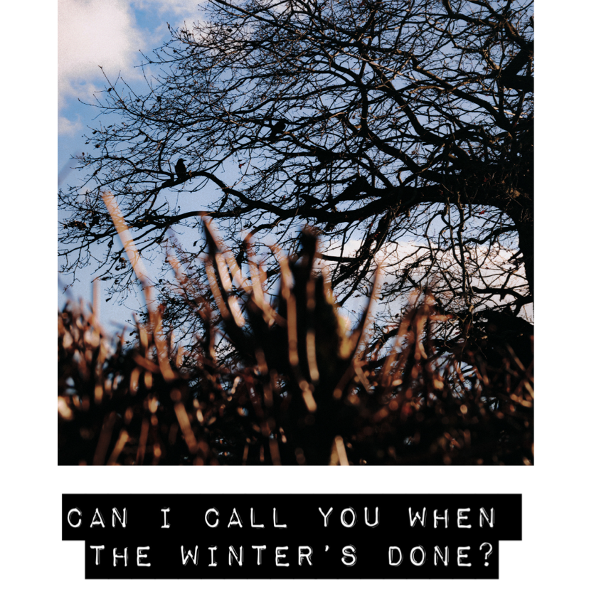 Can I Call You When The Winter’s Done? by Wildersky