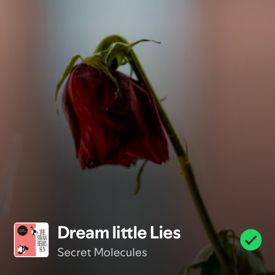 Dream Little Lies by Secret Molecules